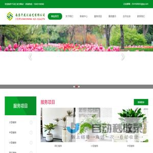网红南京绿植租赁_花卉出租_办公室租花_植物租摆推荐南京千花汇园艺有限公司