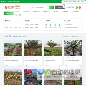 汉月月季网_专业月季门户，月季交易平台
